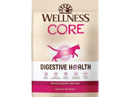 Wellness Cat Core Digestive Health Salmon Rice Receipe 11Lb Online now