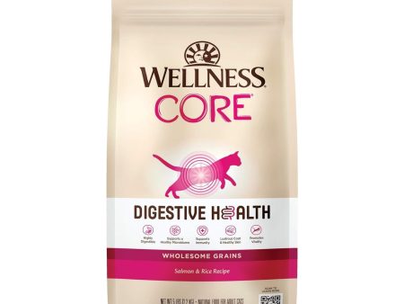 Wellness Cat Core Digestive Health Salmon Rice Receipe 5Lb For Cheap