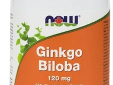 NOW Ginko Biloba (120 mg - 100 veg caps) For Cheap