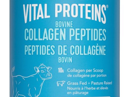 VITAL PROTEINS Bovine Collagen Peptides (Unflavoured - 284 gr) Fashion