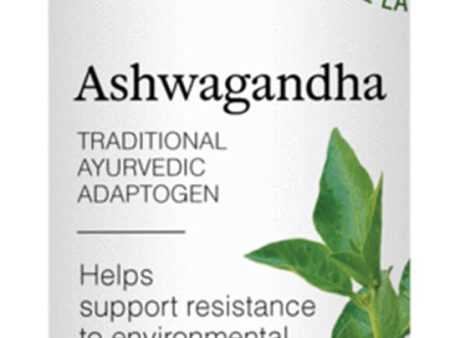 ST FRANCIS HERB FARM Ashwaganda (50 ml) Online Hot Sale