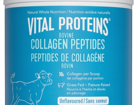 VITAL PROTEINS Bovine Collagen Peptides (Unflavoured - 567 gr) Cheap