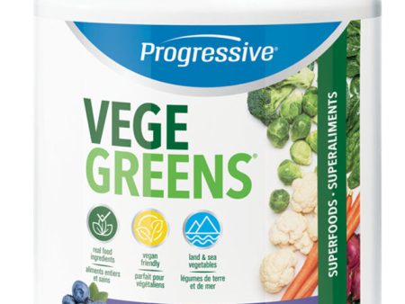 PROGRESSIVE VegeGreens (Blueberry - 530 gr) For Cheap