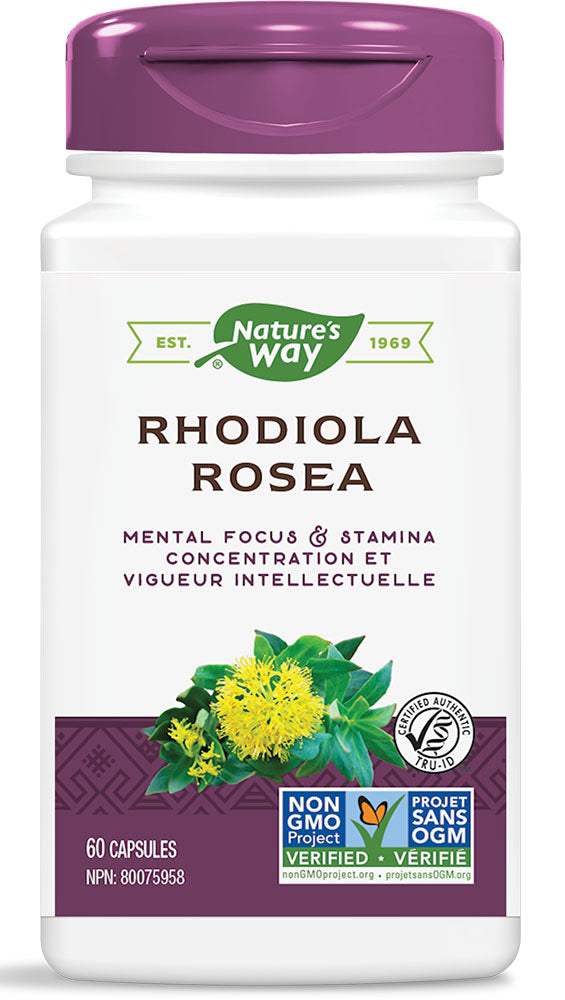 NATURE S WAY Rhodiola Rosea (60 caps) Online