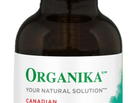 ORGANIKA Bee Propolis Alcohol Free (30 ml) For Discount