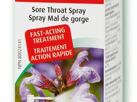 A. VOGEL Echinaforce Sore Throat Spray (30 ml) Hot on Sale