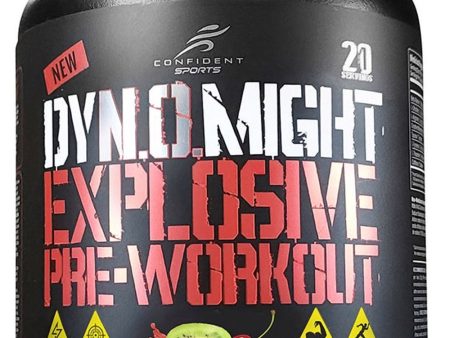 CONFIDENT SPORTS Dynomight (Fruit Punch - 420 g) Online