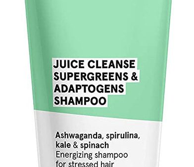 ACURE Supergreens & Adaptogens Shampoo (237 ml) Supply