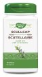 NATURE S WAY Scullcap Herb (100 caps) Online Sale