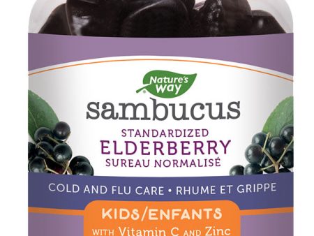 SAMBUCUS Elderberry Kids Gummies (60 gummies) Supply