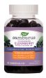 SAMBUCUS Elderberry Kids Gummies (60 gummies) Supply