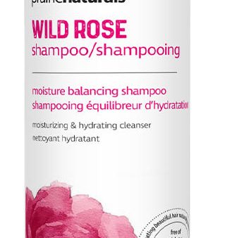 PRAIRIE NATURALS Wild Rose Shampoo (500 ml) Online Sale