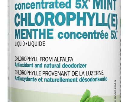 LAND ART Chlorophyll Concentrated 5X (Mint - 500 ml) Hot on Sale