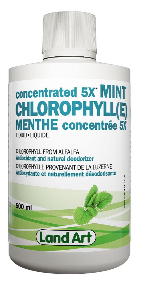 LAND ART Chlorophyll Concentrated 5X (Mint - 500 ml) Hot on Sale