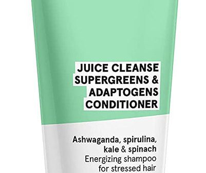 ACURE Supergreens & Adaptogens Conditioner (237 ml) Hot on Sale