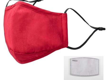 BRAVE 3 Layer Protective Face Mask + Filter (Red) For Cheap