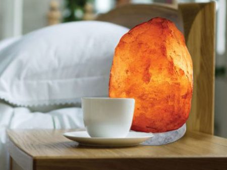 Himalayan Salt Crystal Lamp - Large For Sale