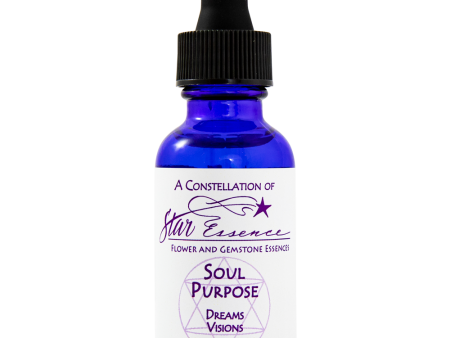 Soul Purpose For Discount