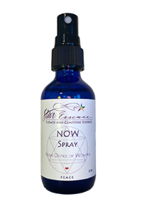 NOW Spray Online now