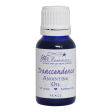 Transcendence Anointing Oil For Sale