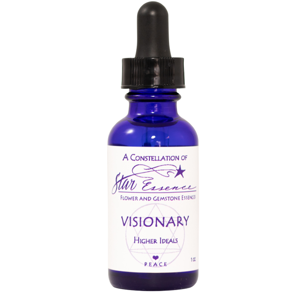 Visionary on Sale